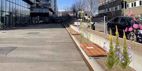 Biodiversitetsprojekt ved Niels Bohr Bygningen