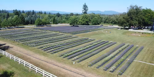 2026 Lavender Season Opening Celebration