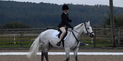 Dressage Competition