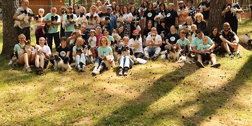 XIII Zlot Mi\u0142o\u015bnik\u00f3w Papillon\u00f3w i Phalene