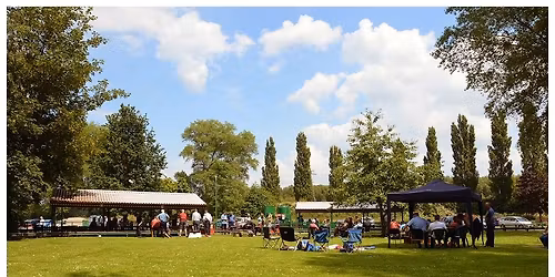 Derek's Tree fun day