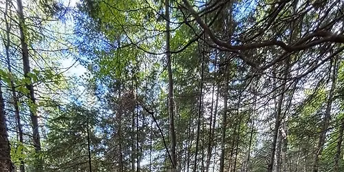 Corv\u00e9e du printemps 2026