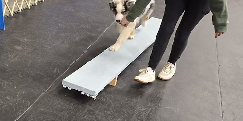 Introduction to Agility 