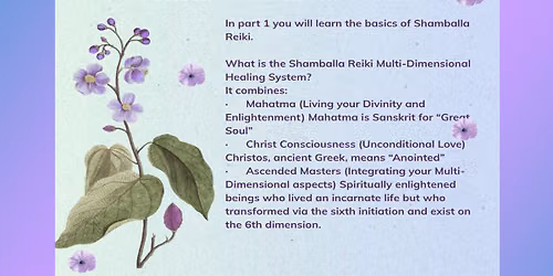 Shamballa Reiki Level 1 with Christinia Brown