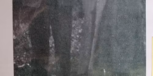 Slektstreff etter Eli og Knut i Knute 