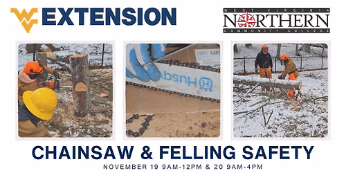 Chainsaw & Felling Safety
