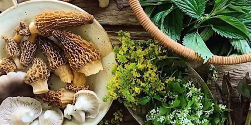 SUMMERS Community Wine Dinner Series: Appalachian Dinner\u2014Coming Home