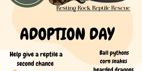 Adoption Day at Hissss the reptile shop!