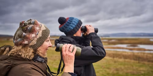 Beginners Woodland and Garden Bird ID Guided Walk at RSPB Arne