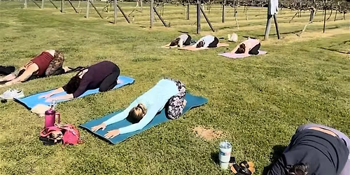 Wine Yoga at Enoree River Vineyards & Winery