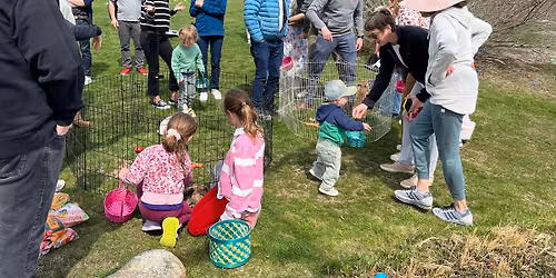 Easter Egg Hunt at Weekapaug Inn with Bunnies from Starflower Bunny Farm 