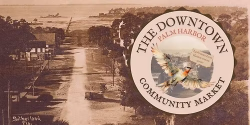 The Downtown Palm Harbor Community Market \u2014 November Market!