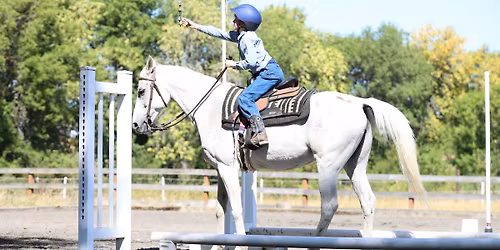 WE Training Camp and Schooling Show Aug 14-16 2026