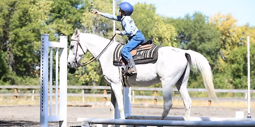 WE Training Camp and Schooling Show Aug 14-16 2026