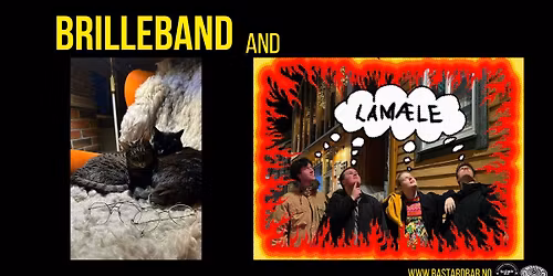 BRILLEBAND & LAM\u00c6LE \/\/ Bastard Bar
