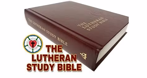 Adult Bible Study and Sunday School