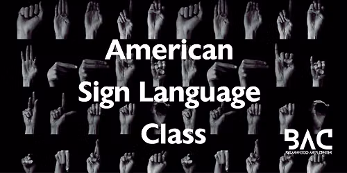 American Sign Language Game Night