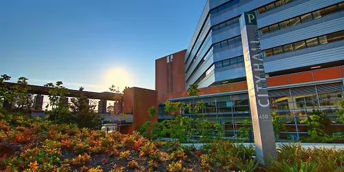 Keep Bellevue Beautiful - Downtown Cleanup