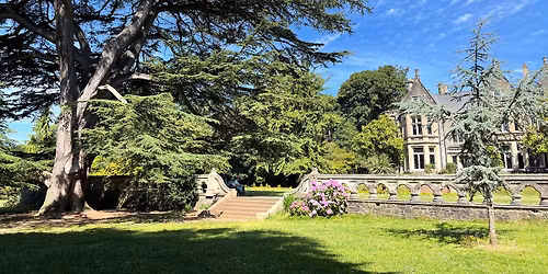 Insole Court November 2025 Sketchmeet