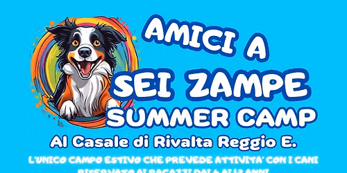 Amici a sei Zampe