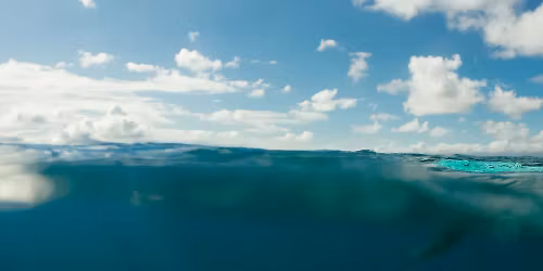 J\u00e9r\u00e9my Frerot in