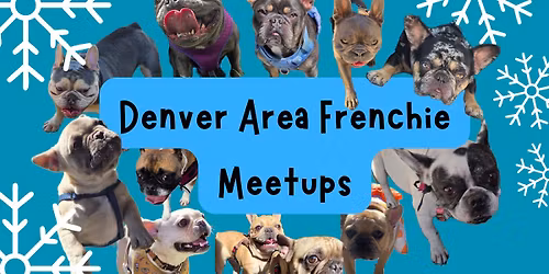 Frenchie Meetup - December!