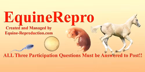 Equine Embryo Transfer
