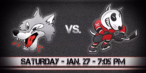 Sudbury Wolves vs. Niagara IceDogs