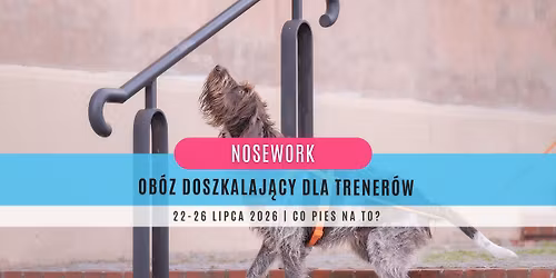 Nosework: Ob\u00f3z doszkalaj\u0105cy dla trener\u00f3w - lipiec 2026!