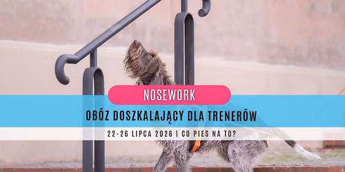 Nosework: Ob\u00f3z doszkalaj\u0105cy dla trener\u00f3w - lipiec 2026!
