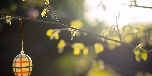 Easter Eggstravaganza