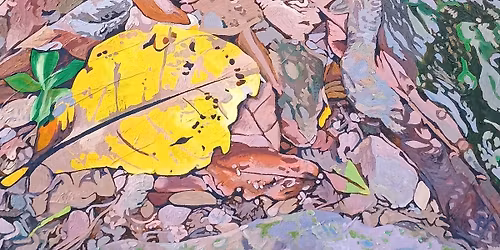 Intricate Habitats Painting Workshop with Katherine Cornwall