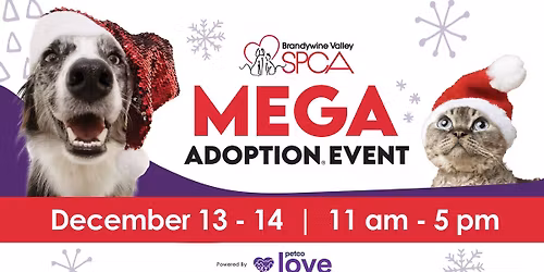 Mega Adoption Event: Animal Rescue Center