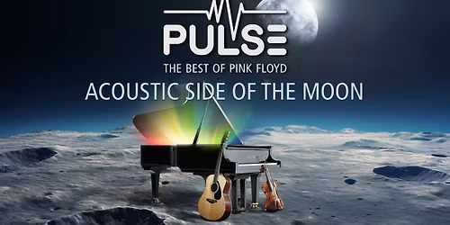 PULSE THE BEST OF PINK FLOYD Acoustic Side Of The Moon