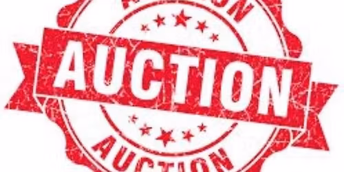 Star 24HR Auction