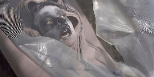 Film Screening & Artist Talk: To Die into a Bird by Anna Kushnerova