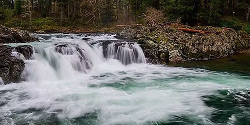 Two Day WOMEN ONLY Photography Workshop to Ridgefield Wildlife Refuge and W