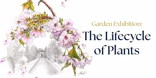 Garden Exhibition: The Lifecycle of Plants