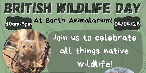 British Wildlife Day