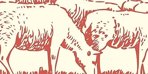 The Flock  Queer Poetry & Drag Night