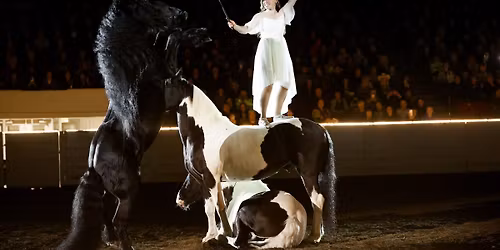 Connection Academy Experience