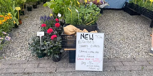 Farmer's Market (Sunday 6 September @10am-2pm)