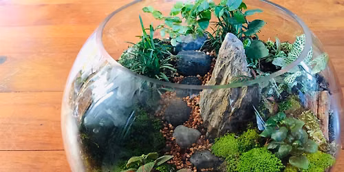 Large terrarium workshop