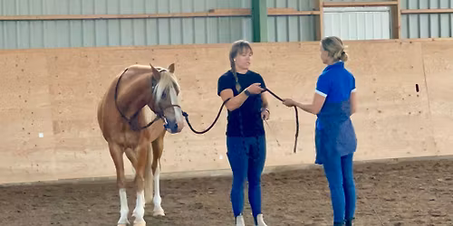Clinic med Megan Sorentino, Knivsta