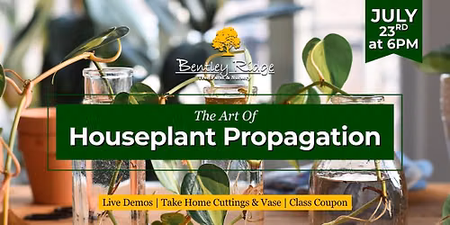 The Art of Houseplant Propagation