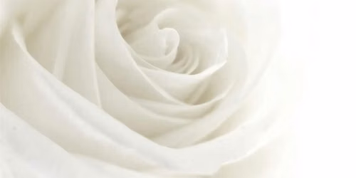 White Rose Ceremony 2026