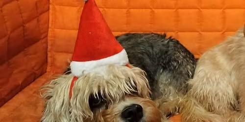 "Justiinan muistolaatikot" + jatkot