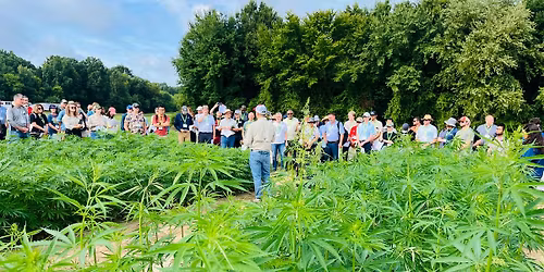 Discover NC Textile Hemp