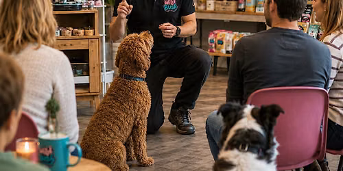 Meet the Dog Trainer