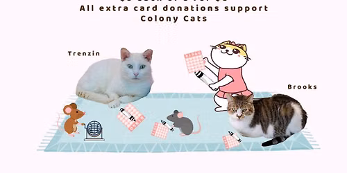  Cat Bingo